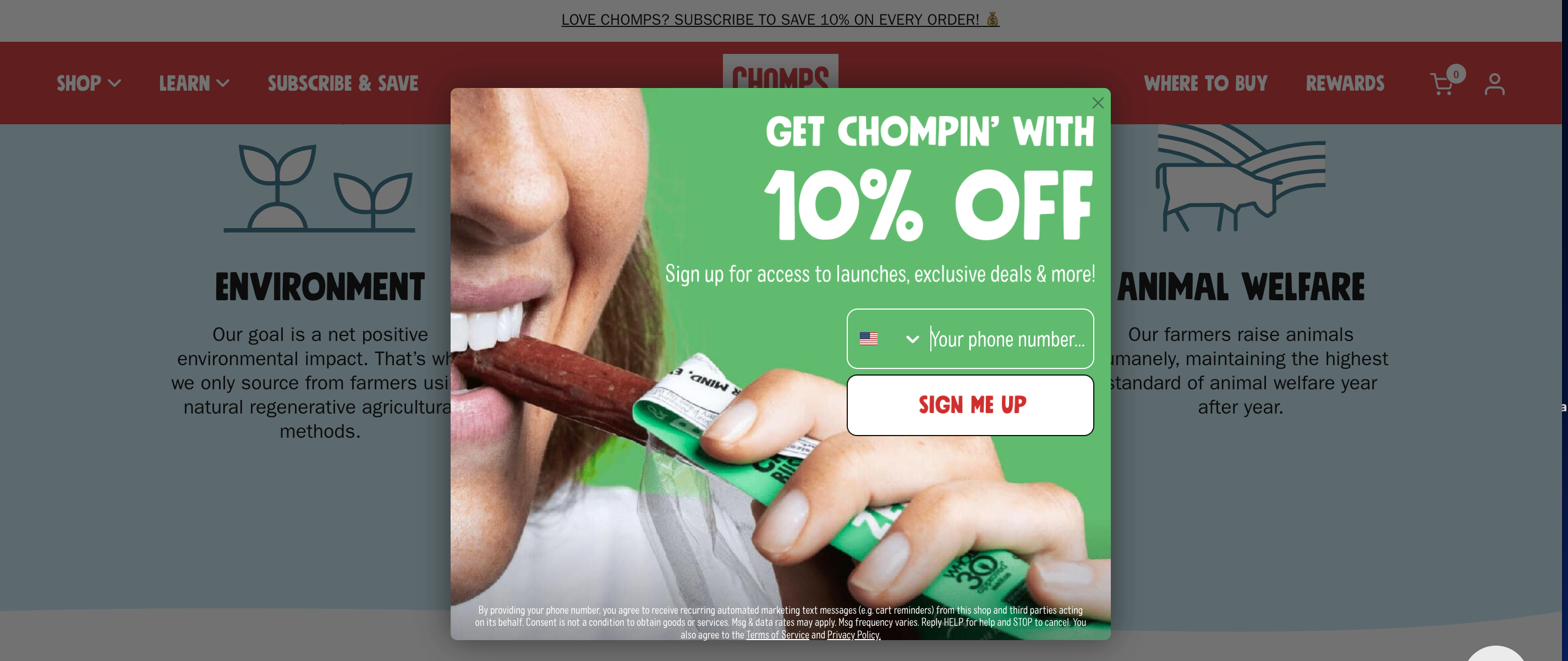 Chomps screenshot.png